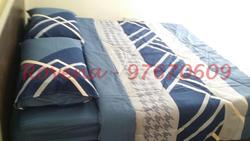 The Sunny Spring (D14), Apartment #97521452